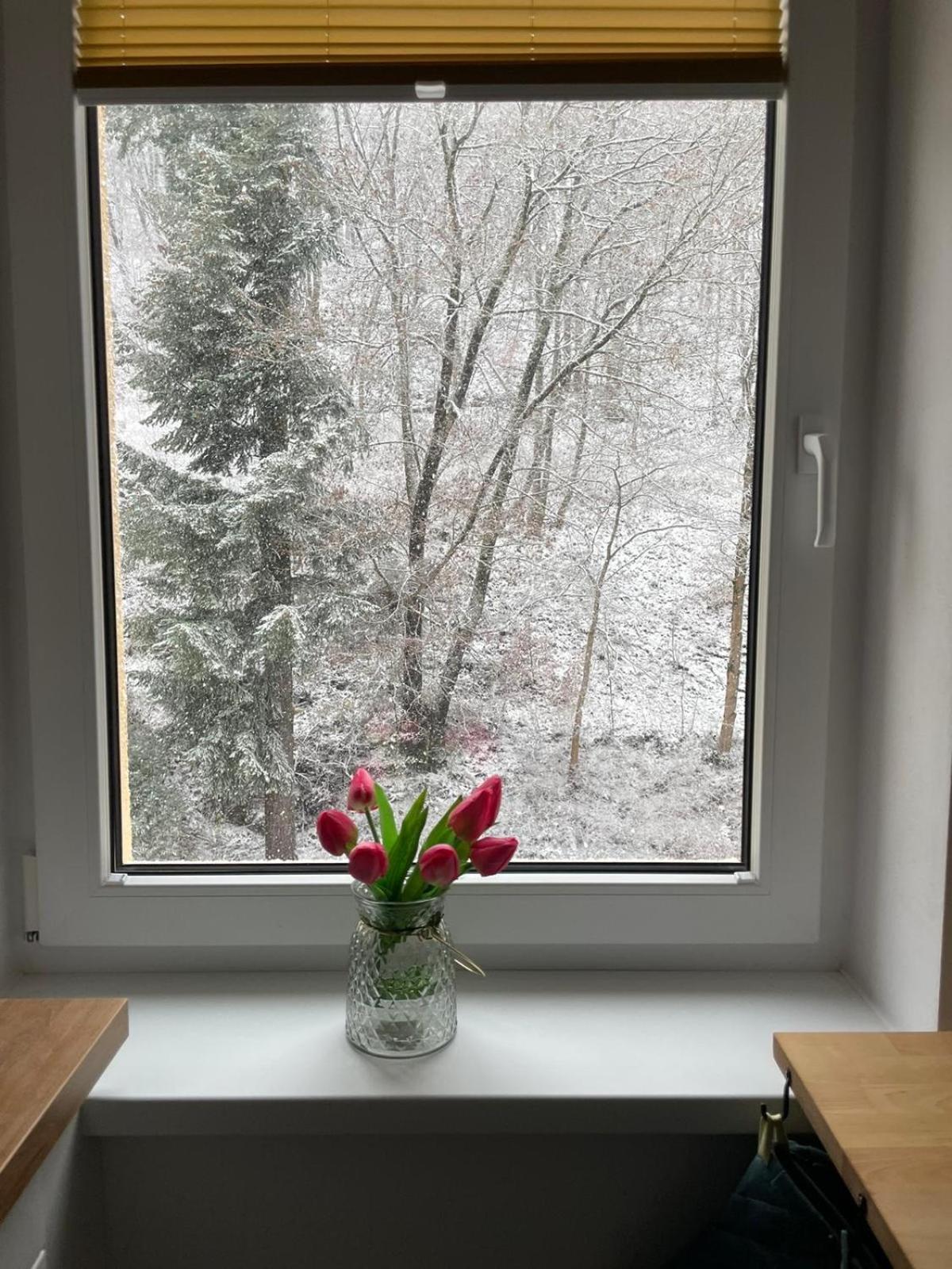 Apartman Claudia - Rezidence K Lanovce 亚希莫夫 外观 照片